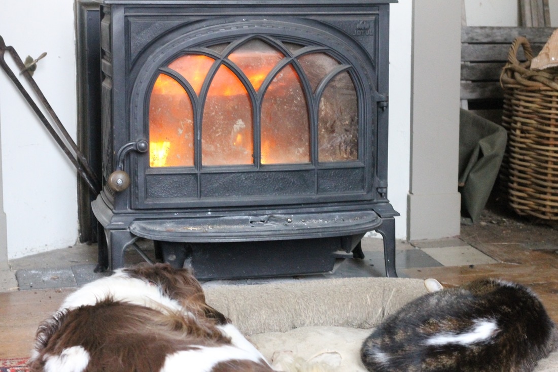 Picture of dog and cat in front of wood burning stove
